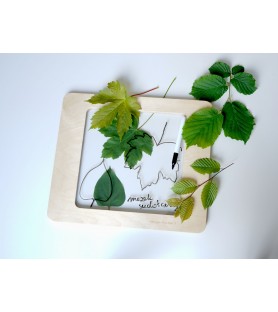 Framka. Okno możliwości